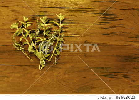 Fresh thyme and origanum Fresh thyme and origanum 88663023