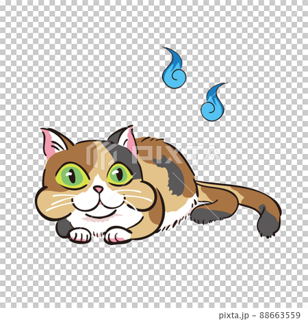 可愛的怪物貓怪物貓又 88663559