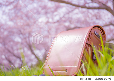 ランドセルとピンクの桜 ランドセルとピンクの桜 88663579
