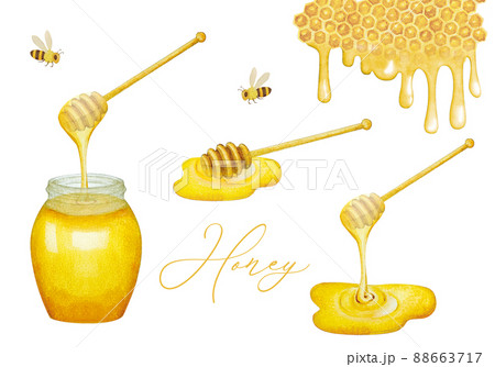 ハニーディッパーから垂れるハチミツの水彩イラストセット ハニーディッパーから垂れるハチミツの水彩イラストセット 88663717