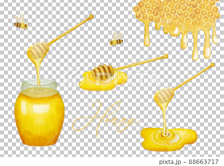 ハニーディッパーから垂れるハチミツの水彩イラストセット ハニーディッパーから垂れるハチミツの水彩イラストセット 88663717