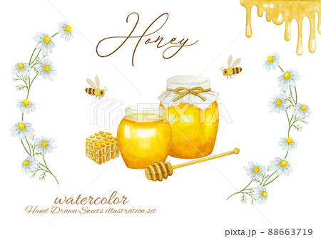 カモニールのフレームとハチミツの水彩イラスト カモニールのフレームとハチミツの水彩イラスト 88663719