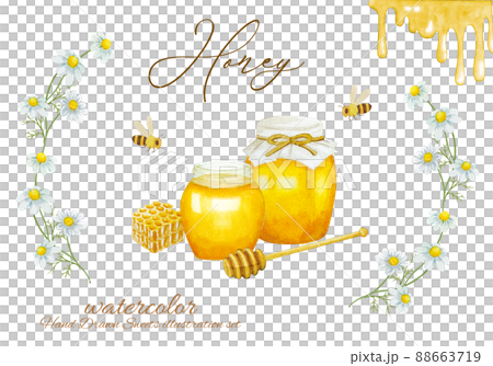 カモニールのフレームとハチミツの水彩イラスト カモニールのフレームとハチミツの水彩イラスト 88663719