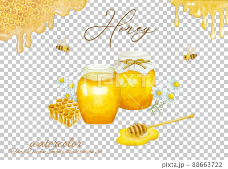 白い花とハチミツの水彩イラストセット 88663722