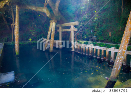 神社の神秘的な池 神社の神秘的な池 88663791