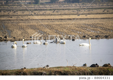 注南貯水池 昌原市 風景 88664331