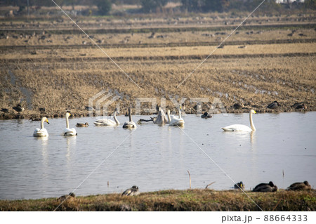 注南貯水池 昌原市 風景 88664333