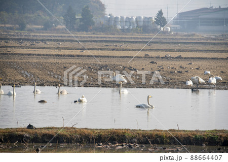 注南貯水池 昌原市 風景 88664407