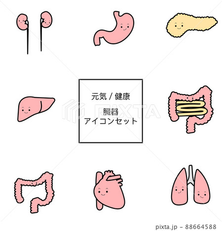 イラスト素材 元気なかわいい臓器のイラストセットのイラスト素材 6645