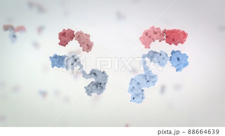 The structure of a typical antibody molecule.Antibodies and amino acids 88664639