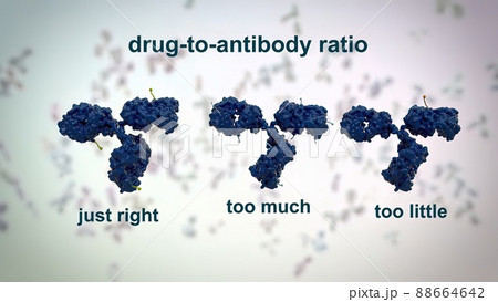 The structure of a typical antibody molecule.Antibodies and amino acids 88664642