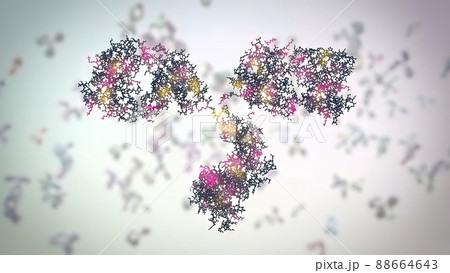 The structure of a typical antibody molecule.Antibodies and amino acids 88664643