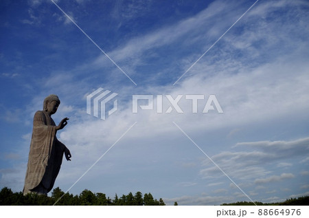 牛久大仏と曇空 88664976