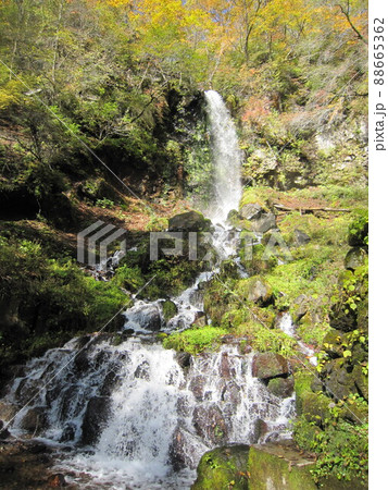 秋の千ヶ滝(軽井沢町) 秋の千ヶ滝(軽井沢町) 88665362