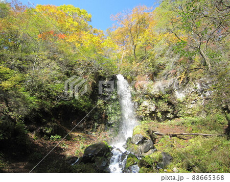 秋の千ヶ滝(軽井沢町) 秋の千ヶ滝(軽井沢町) 88665368