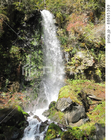 秋の千ヶ滝（軽井沢町） 88665369