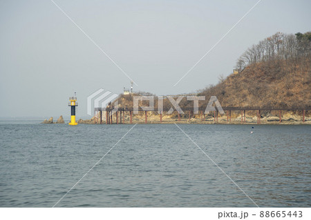 風景 安山市 大阜島 88665443
