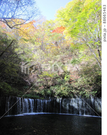 秋の白糸の滝（軽井沢町） 88665463