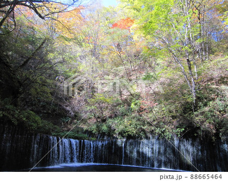秋の白糸の滝（軽井沢町） 88665464