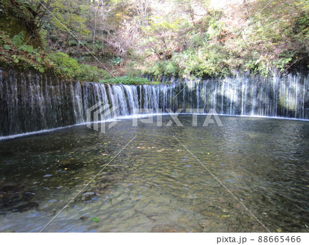 秋の白糸の滝(軽井沢町) 秋の白糸の滝(軽井沢町) 88665466