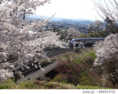 桜エクスプレス　SAKURA EXPRESS　山形新幹線　つばさ 88665548