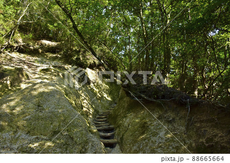 三重県菰野町　御在所岳中登山道 88665664