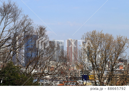 武蔵小杉高層ビル群　遠景　日吉公園より 88665792
