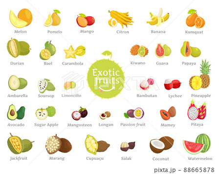 Delicious Exotic Fruits Full of Vitamins Big Set 88665878