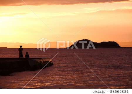 富津岬夕景 88666381