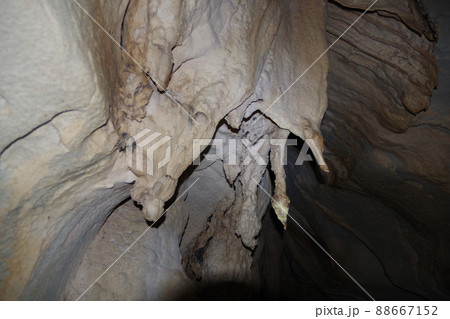 マレーシア　ボルネオ島の世界遺産グヌン・ムル国立公園　ラガン洞窟のファーストレーン 88667152