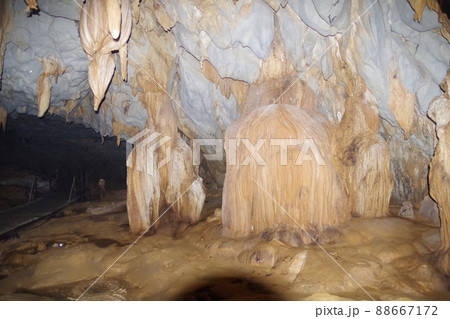 マレーシア ボルネオ島の世界遺産グヌン・ムル国立公園 ラガン洞窟のファーストレーン マレーシア ボルネオ島の世界遺産グヌン・ムル国立公園 ラガン洞窟のファーストレーン 88667172