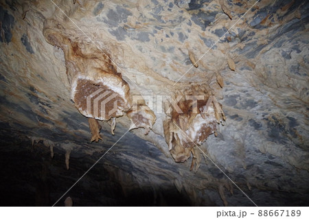 マレーシア ボルネオ島の世界遺産グヌン・ムル国立公園 ラガン洞窟のファーストレーン マレーシア ボルネオ島の世界遺産グヌン・ムル国立公園 ラガン洞窟のファーストレーン 88667189