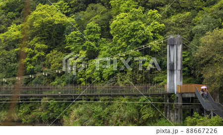 林 森 樹林 88667226