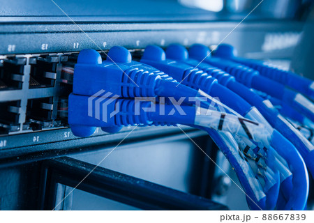 blue patch cables connected to ethernet ports of the switch 88667839