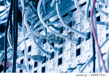 patch cables connected to switch inside server room 88667915