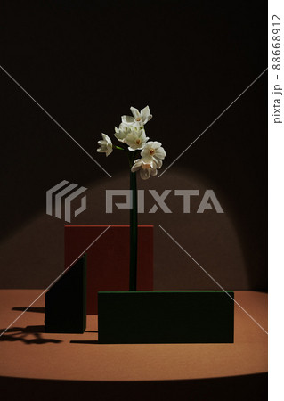 Vertical minimalistic still life composition of fresh white flowers, dark green and red-brown wooden figures against dark brown wall background in spotlight 88668912