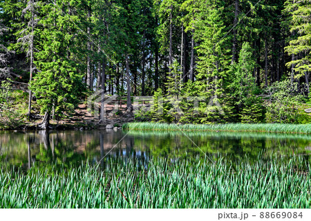 Tarn Vrbicke pleso in Low Tatras mountains, Slovakia. 88669084