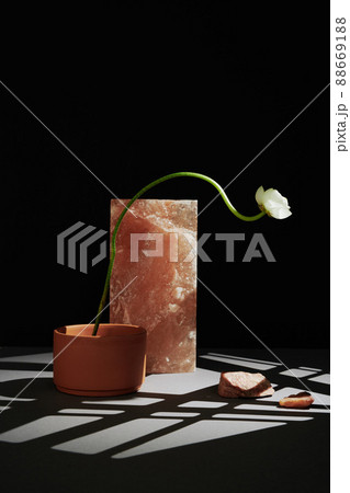Vertical minimalistic still life composition of one white flower in clay pot and pink rock salt on table in gobo lighting, black wall background Vertical minimalistic still life composition of one white flower in clay pot and pink rock salt on table in gobo lighting, black wall background 88669188