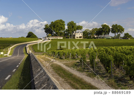 Typical vineyards near Chateau Pichon Longueville Comtesse de Lalande, Bordeaux, Aquitaine, France Typical vineyards near Chateau Pichon Longueville Comtesse de Lalande, Bordeaux, Aquitaine, France 88669189