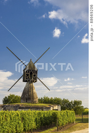 Windmill of La Tranchee and vineyard near Montsoreau, Pays de la Loire, France 88669206