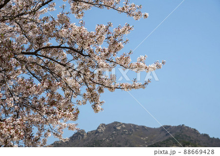 風景 山 空 88669428