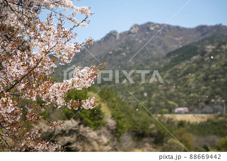 風景 花びら 山 88669442