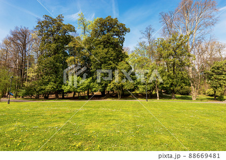 Beautiful Public Park in Springtime with Green Lawn and Trees 88669481