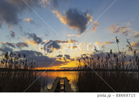 Rezabinec pond, Southern Bohemia, Czech Republic Rezabinec pond, Southern Bohemia, Czech Republic 88669715