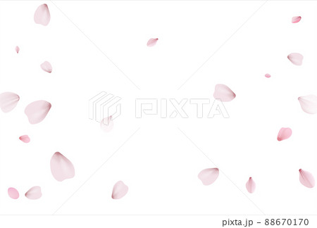 Pink sakura vector background, cherry flowers Pink sakura vector background, cherry flowers 88670170