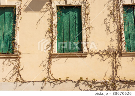 Windows of Abandoned Building with Creeper Plants and Broken Wall Windows of Abandoned Building with Creeper Plants and Broken Wall 88670626