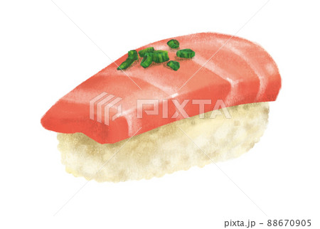 Hand drawing Japanese food toro blue fin tuna sushi nigiri Hand drawing Japanese food toro blue fin tuna sushi nigiri 88670905