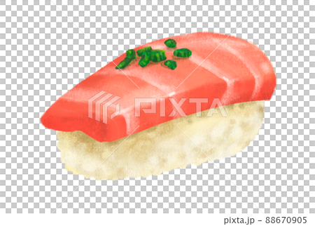 Hand drawing Japanese food toro blue fin tuna sushi nigiri Hand drawing Japanese food toro blue fin tuna sushi nigiri 88670905