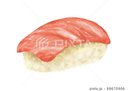 Hand drawing Japanese food Chutoro tuna sushi sashimi nigiri Hand drawing Japanese food Chutoro tuna sushi sashimi nigiri 88670906