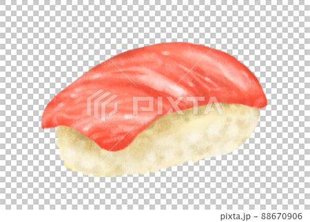 Hand drawing Japanese food Chutoro tuna sushi sashimi nigiri Hand drawing Japanese food Chutoro tuna sushi sashimi nigiri 88670906
